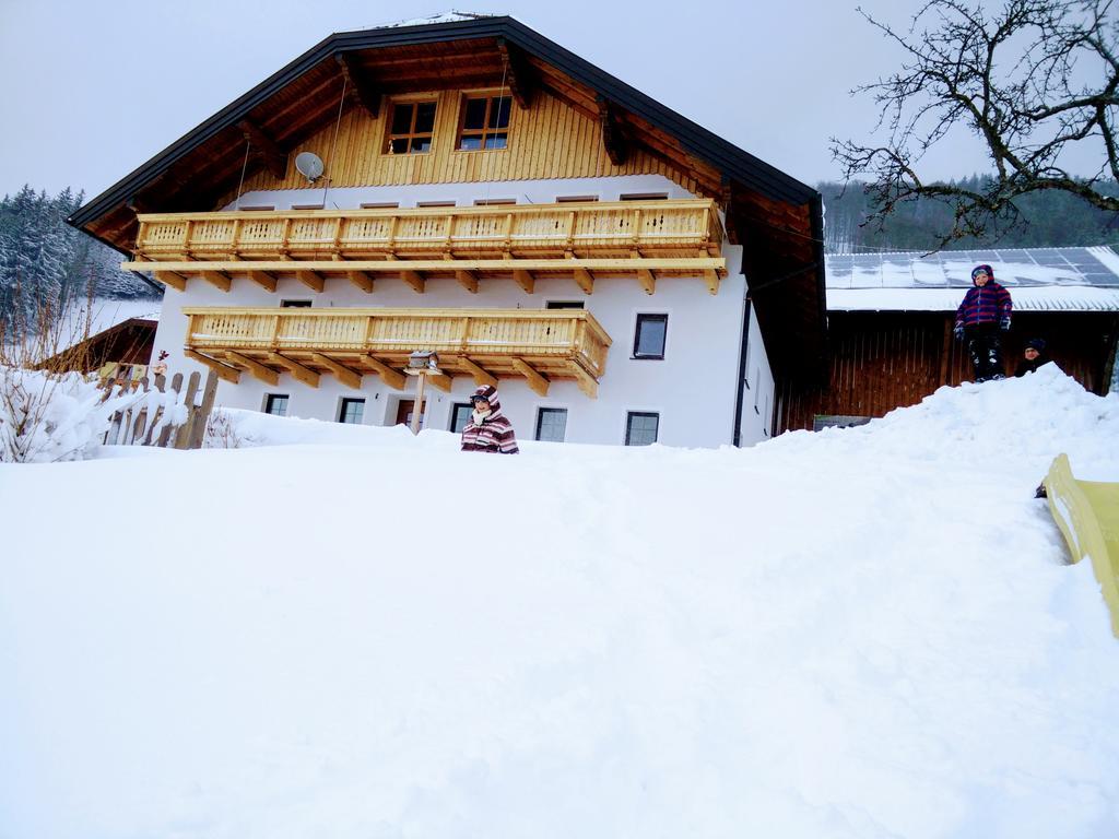Ferienwohnung Panoramahof Manzberg Mondsee Exterior foto