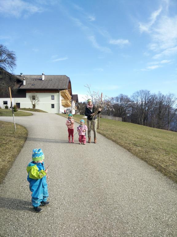 Ferienwohnung Panoramahof Manzberg Mondsee Exterior foto