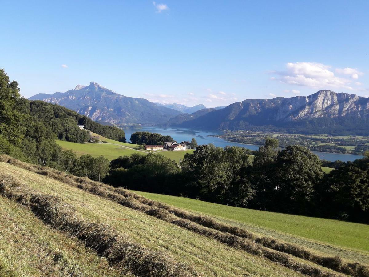 Ferienwohnung Panoramahof Manzberg Mondsee Exterior foto