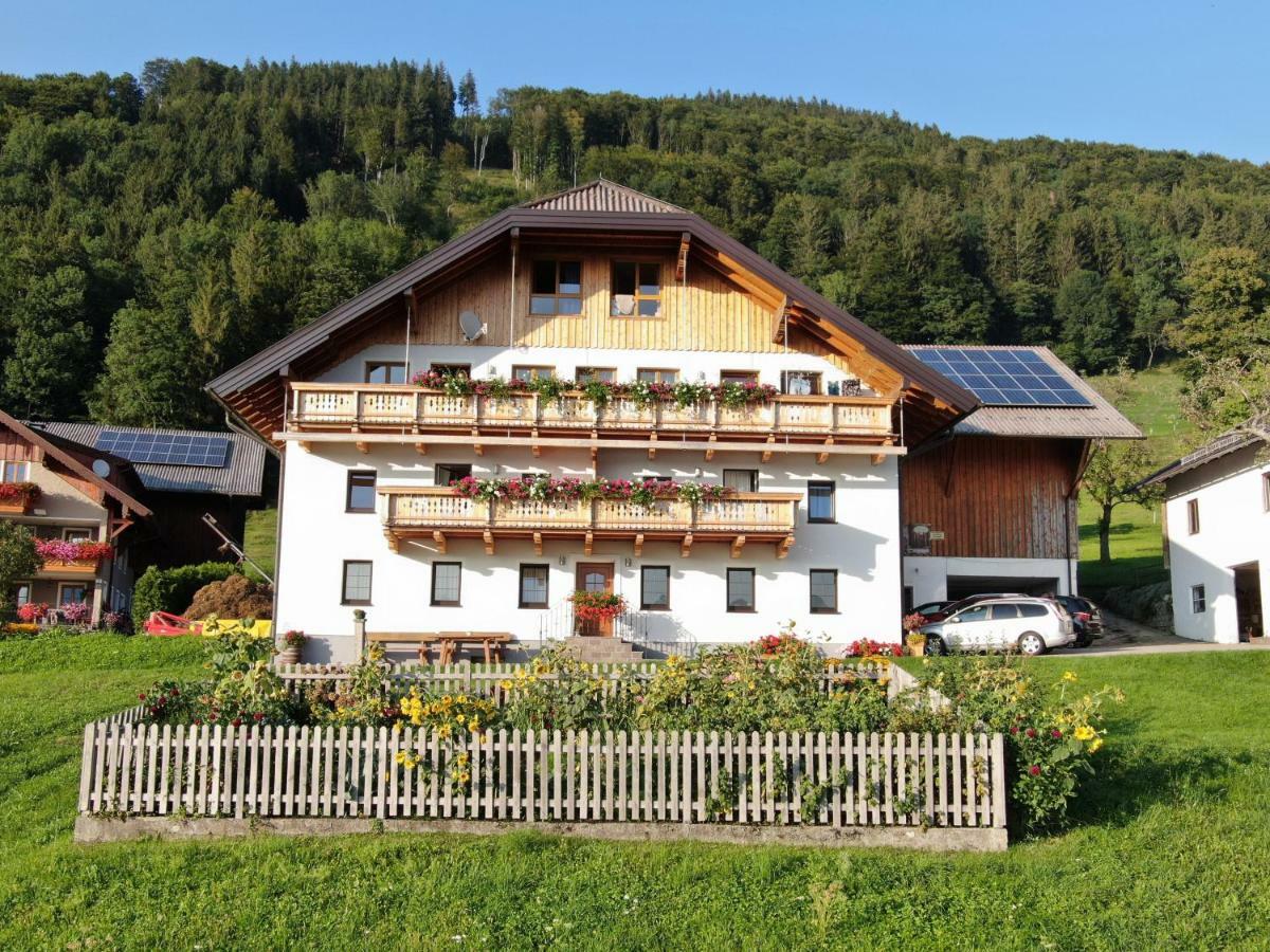 Ferienwohnung Panoramahof Manzberg Mondsee Exterior foto